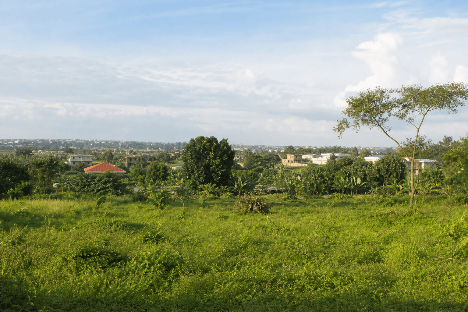 Terrain périurbain — Anyama, Abidjan